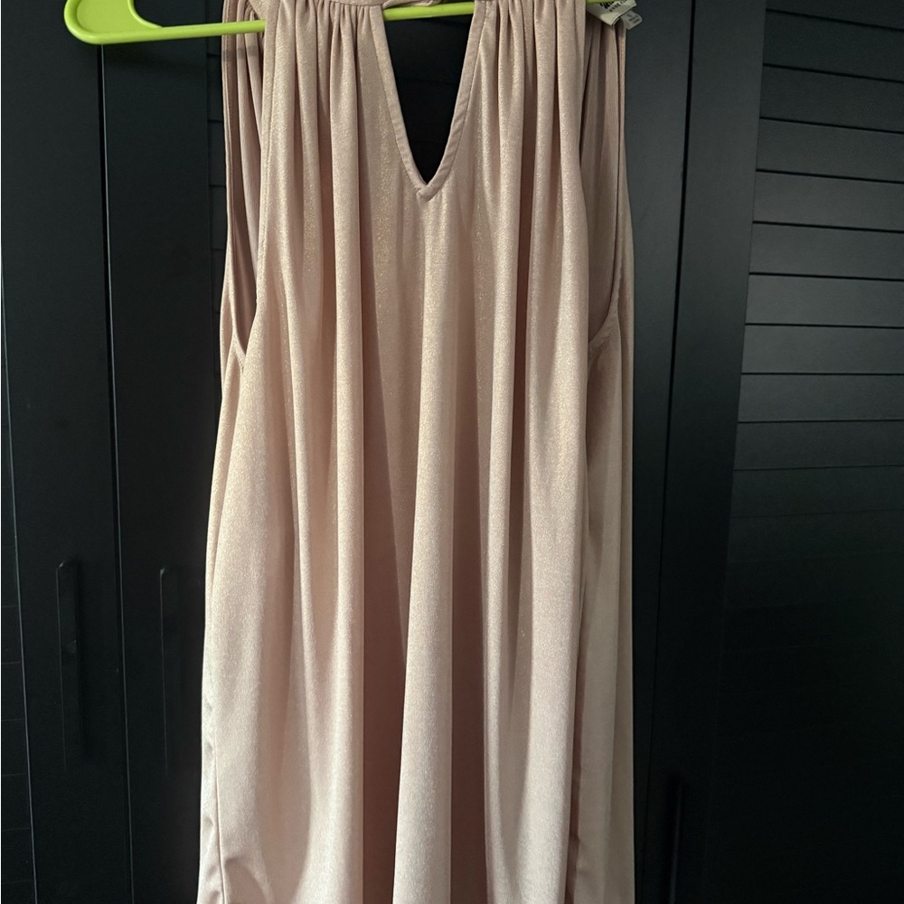 Anne Klein Shimmering Blush Top